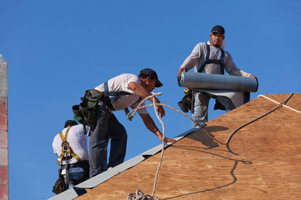 Best Roof Repair Services  in Landover Hills, MD