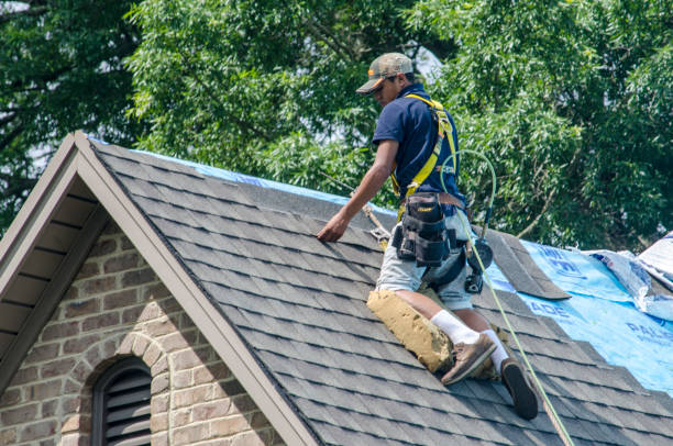 Best Roof Gutter Cleaning  in Landover Hills, MD